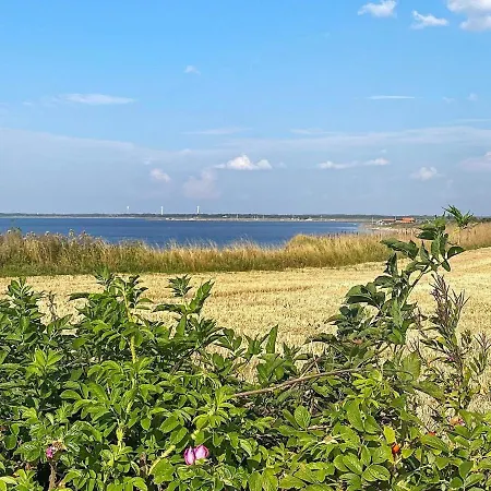 Σπίτι διακοπών 6 Person In Vinderup-by Traum