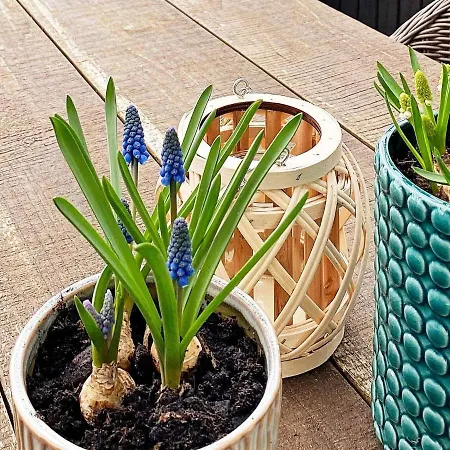 6 Person In Vinderup-by Traum